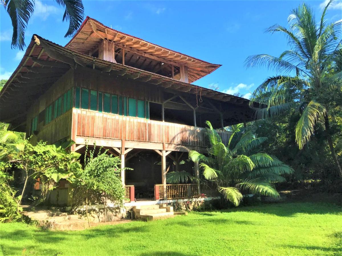 Ocean Forest Ecolodge San Pedrillo Exterior photo