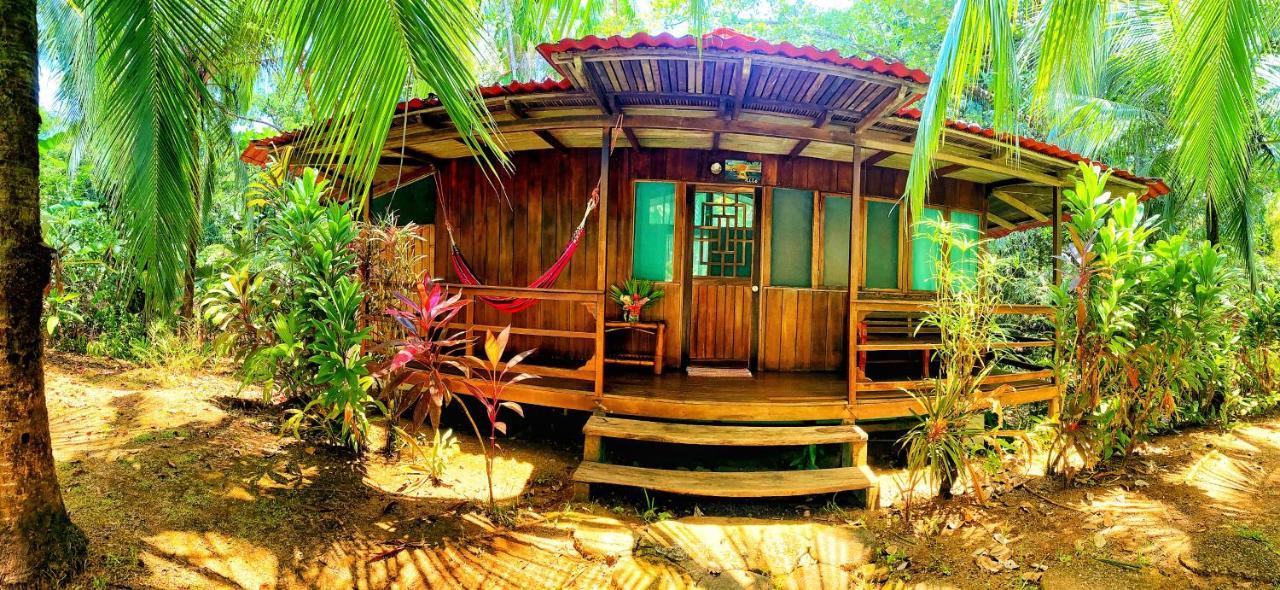 Ocean Forest Ecolodge San Pedrillo Exterior photo