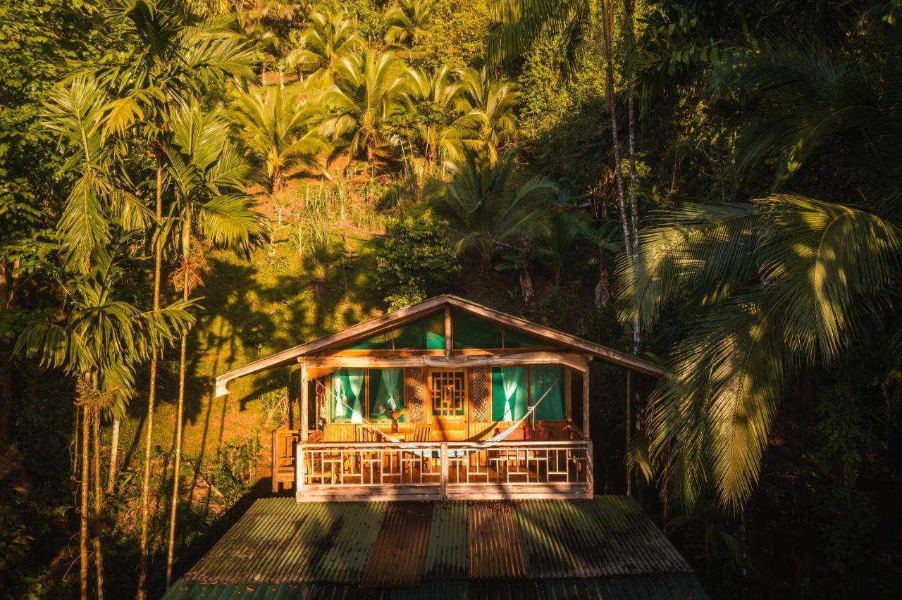 Ocean Forest Ecolodge San Pedrillo Exterior photo