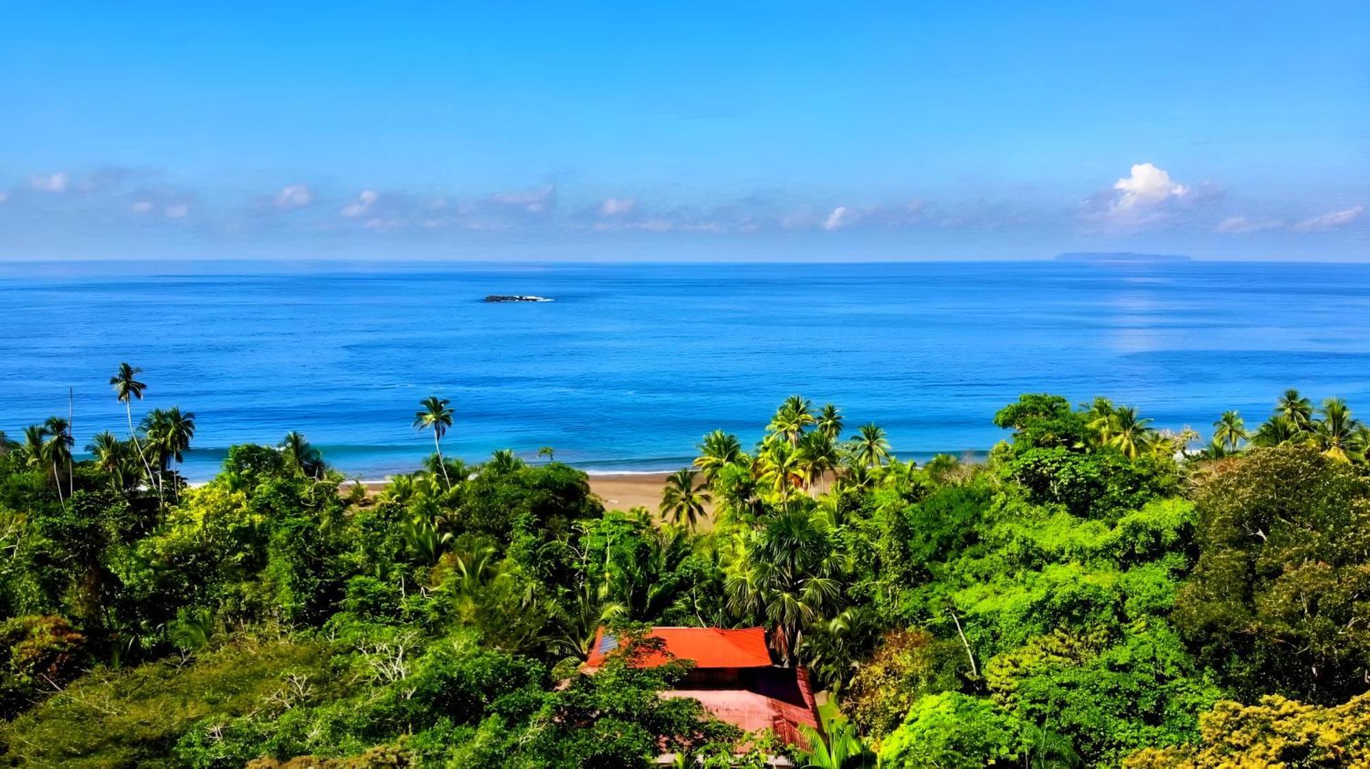 Ocean Forest Ecolodge San Pedrillo Exterior photo